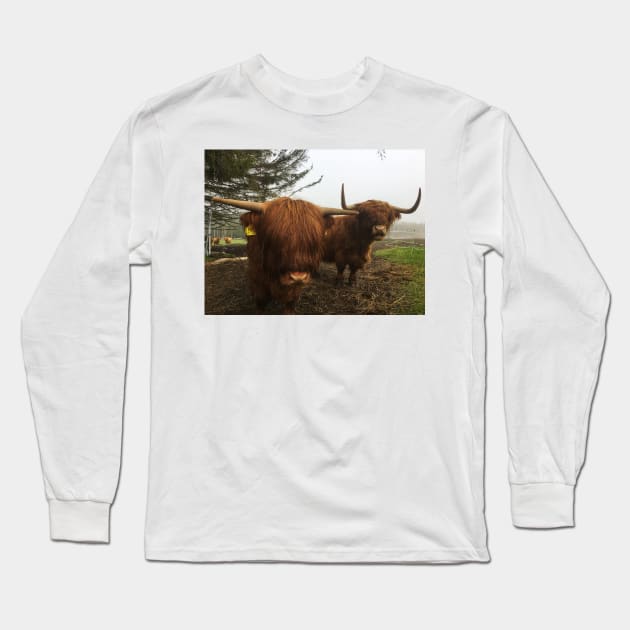 Scottish Highland Cattle Cow and Calf 1994 Long Sleeve T-Shirt by SaarelaHighland